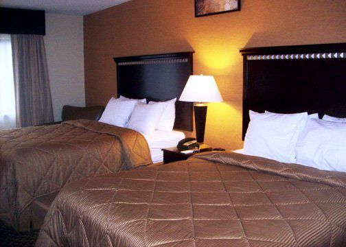 Quality Near Area Inn 3*